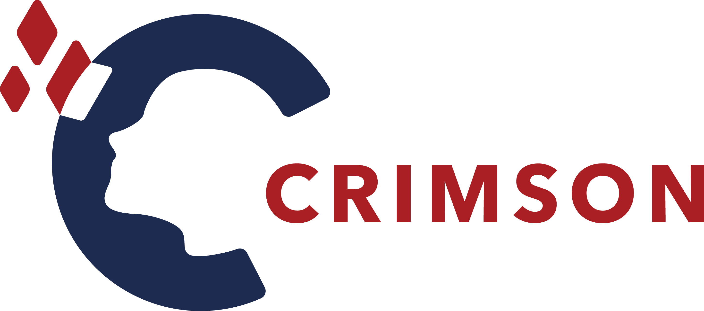 Organizer Logo