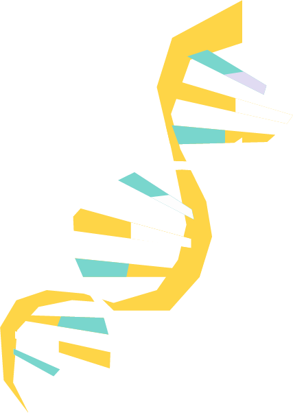 DNA Shape